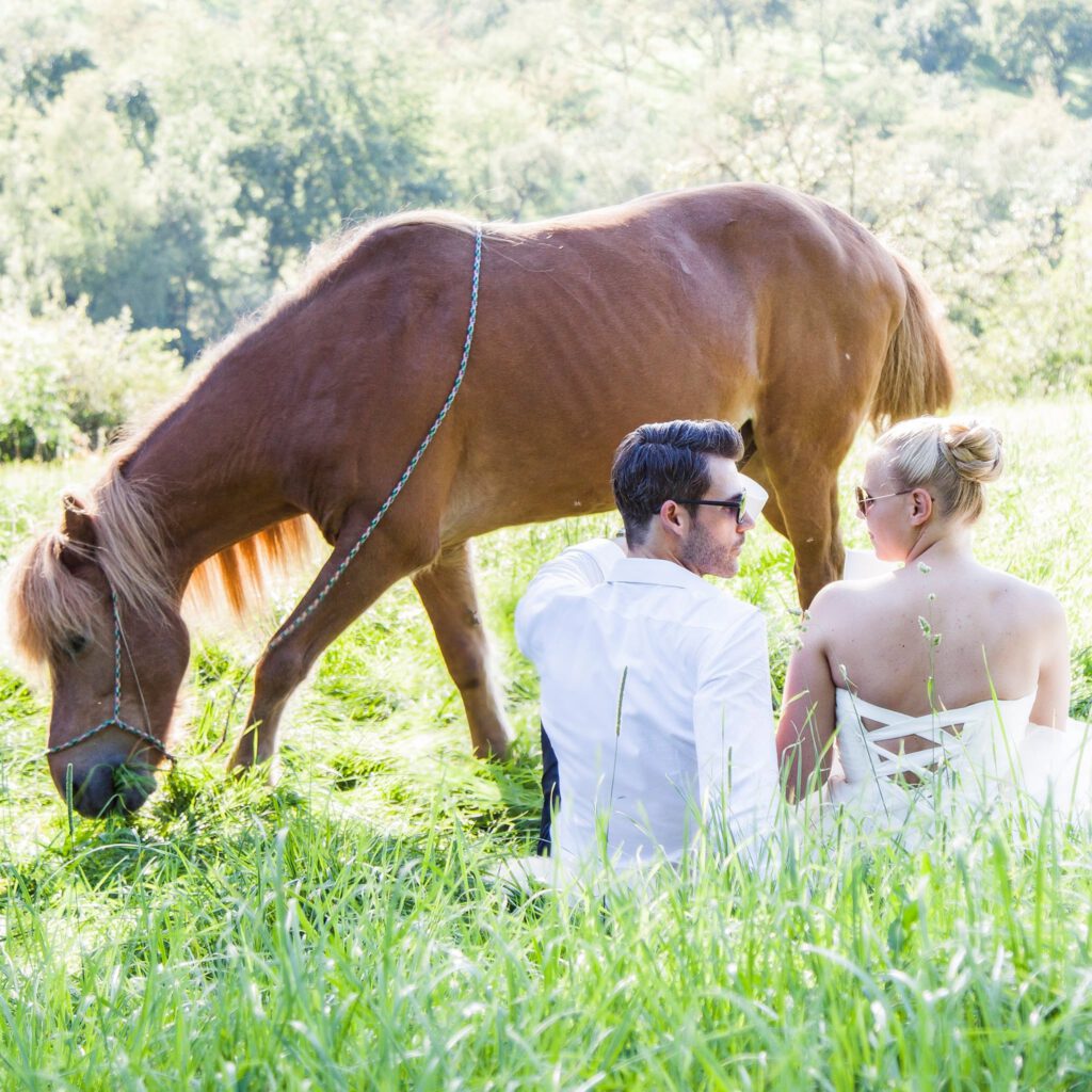Romantisches Blumenarrangement für eine Hochzeit in Stuttgart mit zarten Blüten und harmonischen Farben
